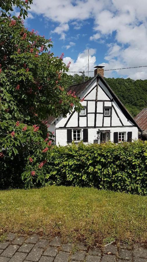 Landhaus Eifel Demerath Exterior photo