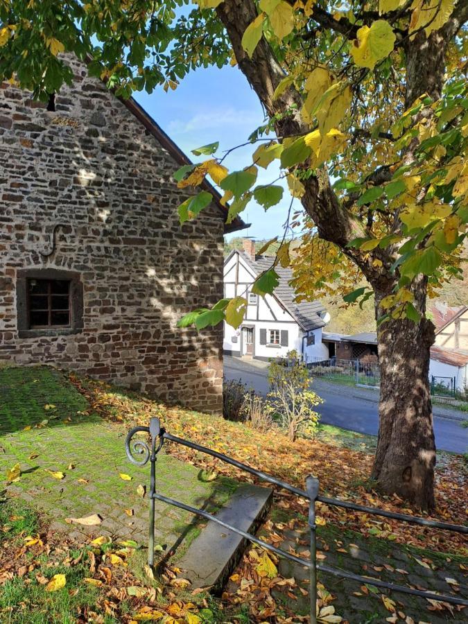 Landhaus Eifel Demerath Exterior photo