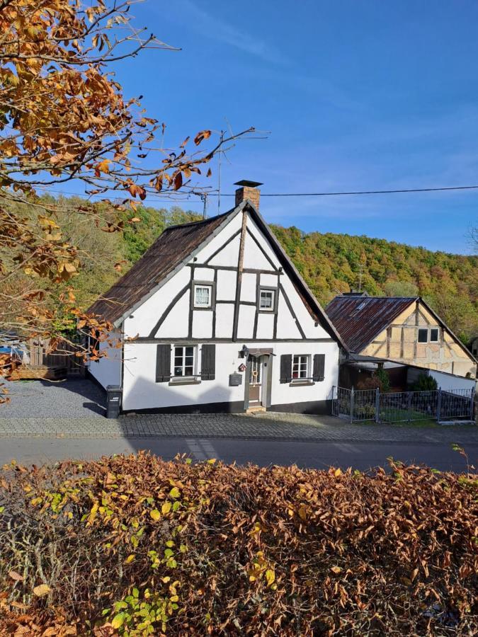 Landhaus Eifel Demerath Exterior photo