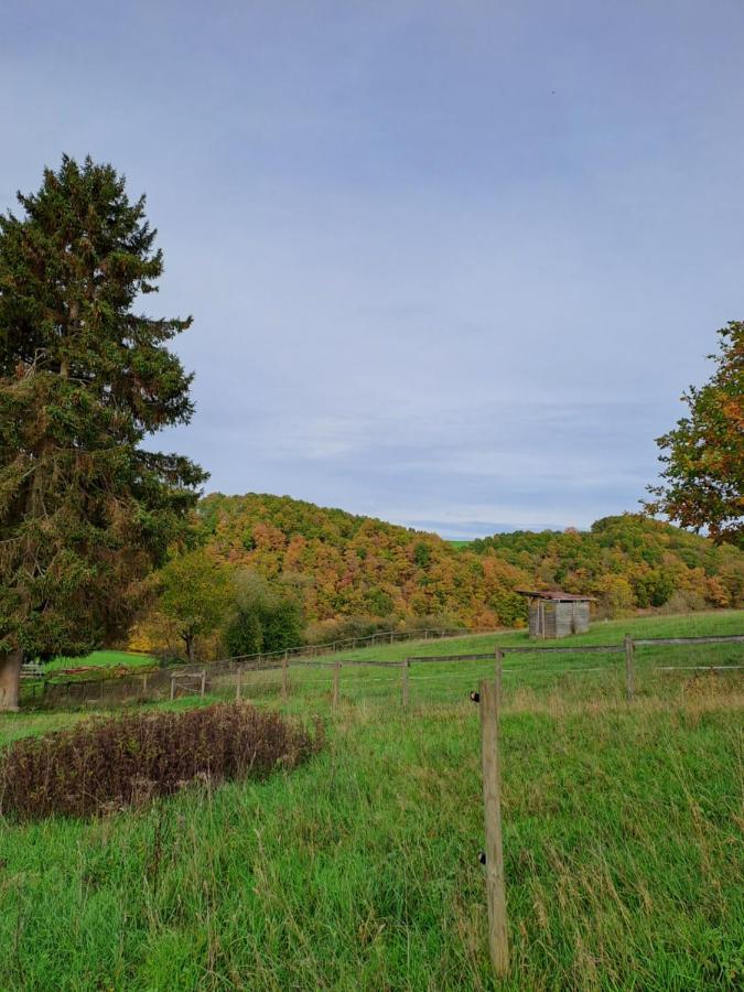 Landhaus Eifel Demerath Exterior photo