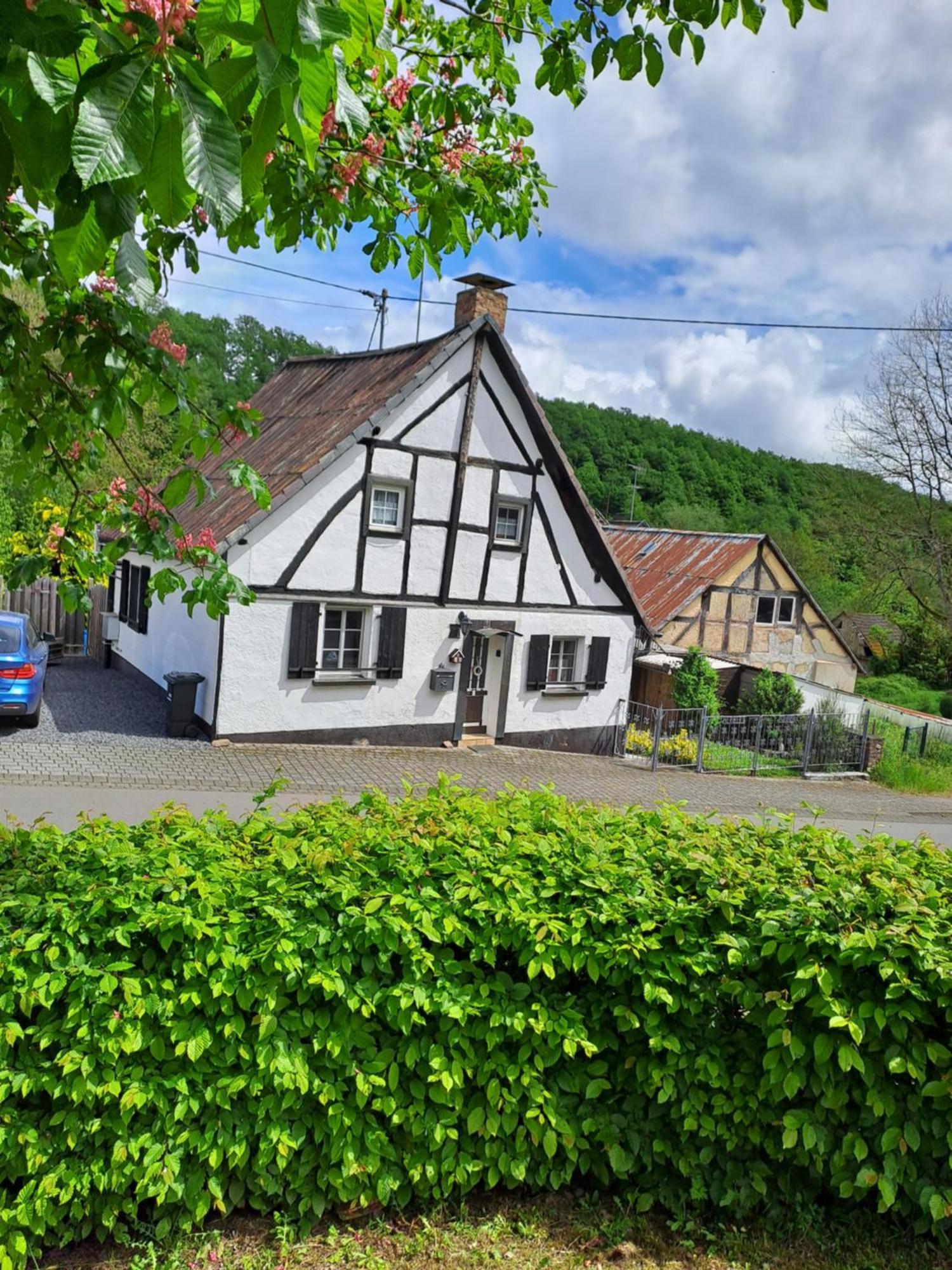 Landhaus Eifel Demerath Exterior photo